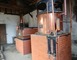 Domaines Laberdolive 5 - Labastide-d'Armagnac