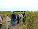 Domaine de Laubesse 1 - Hontanx