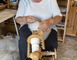 Ferme le Hillot élevage d'alpagas 3 - Bourriot-Bergonce