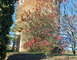 Le Moulin de Laballe 1 - Parleboscq