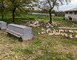 Les canards de Labastide 3 - Labastide-d'Armagnac