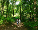 Arboretum 3 - Vielle-Soubiran