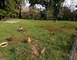 Un refuge à Cachen 11 - Cachen