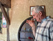 Ferme de Labouc 5 - Labastide-d'Armagnac
