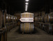 Domaine de Laballe 3 - Parleboscq