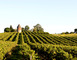 Domaine de Laballe 10 - Parleboscq