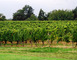La Suite du Lac 14 - Betbezer-d'Armagnac